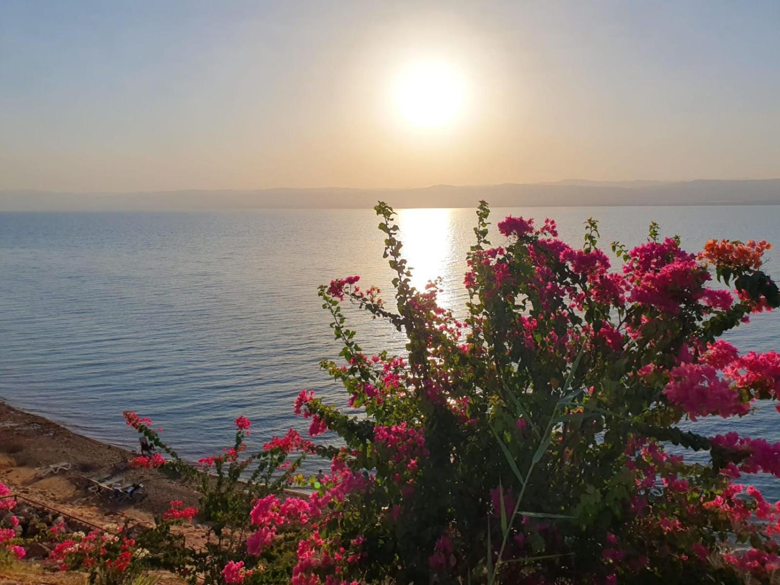 Comfy Stays Sea View Apartments At Deadsea Samarah Resort Sweimeh Екстериор снимка